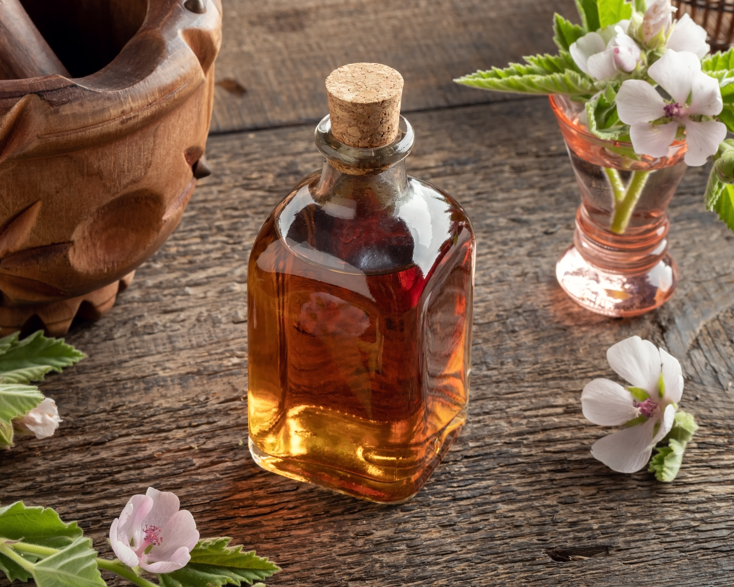 ORGANIC MARSHMALLOW ROOT