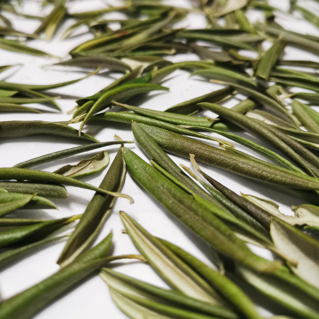 WHOLE ORGANIC OLIVE LEAF