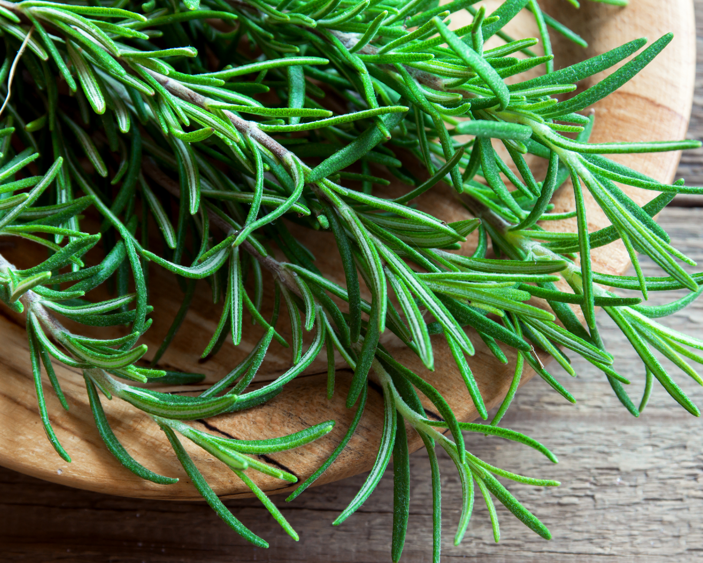 WHOLE ORGANIC ROSEMARY