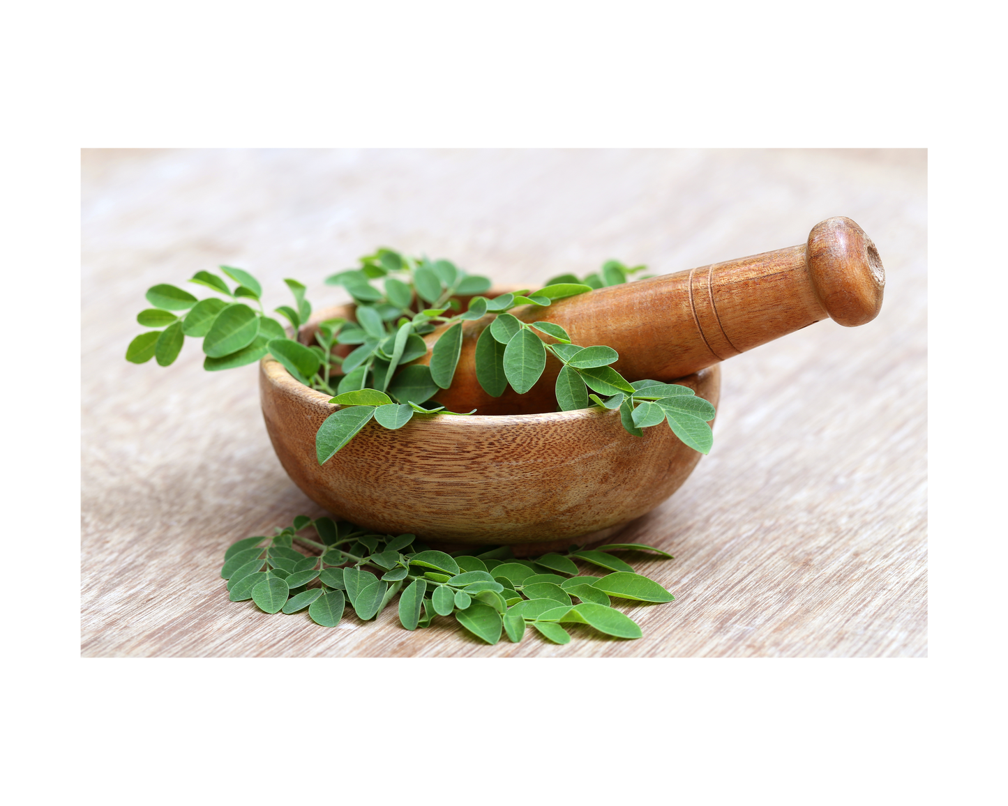 ORGANIC MORINGA