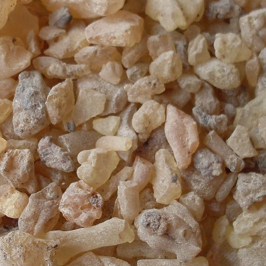 MEXICAN COPAL RESIN