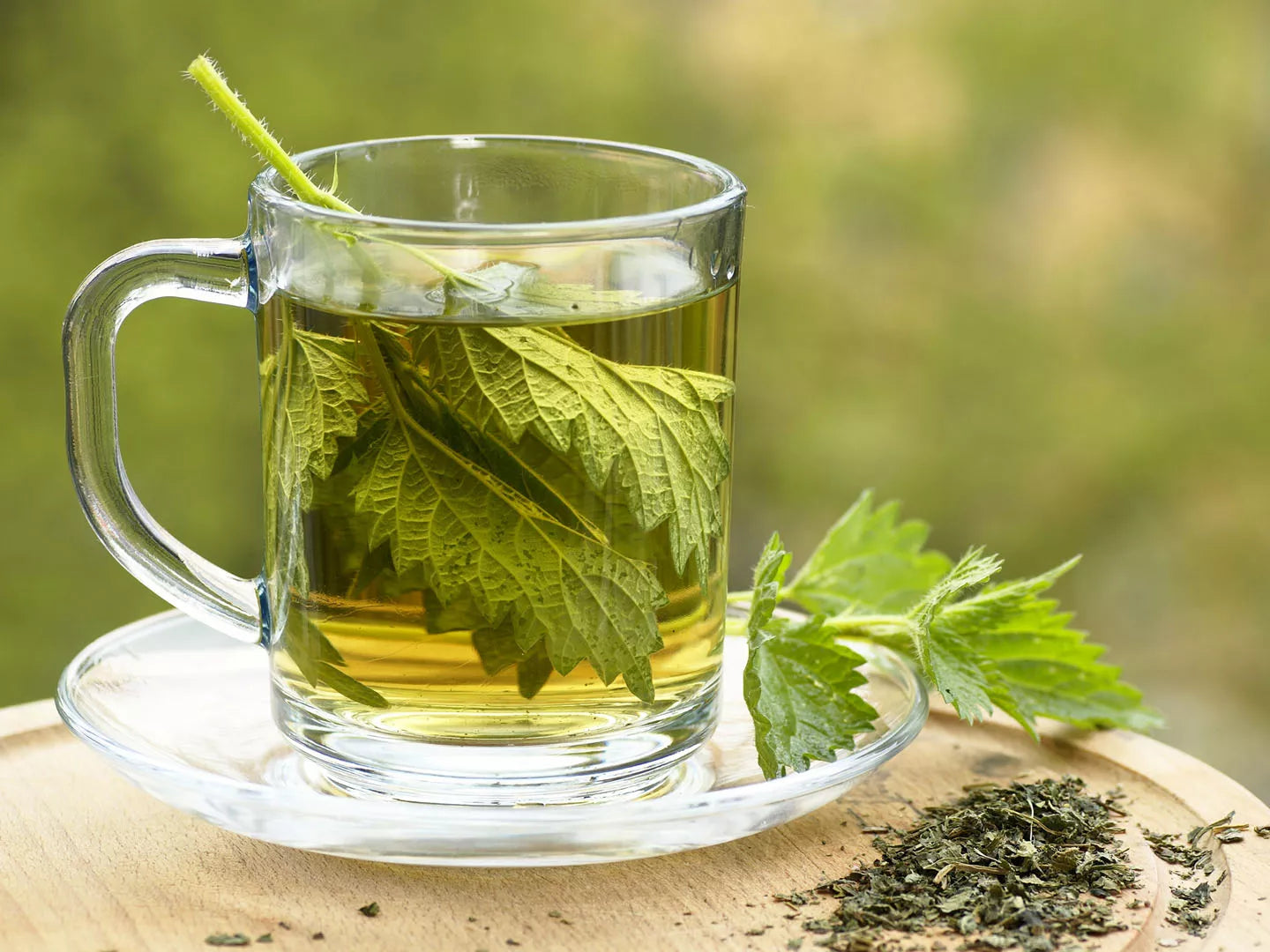ORGANIC STINGING NETTLE LEAF